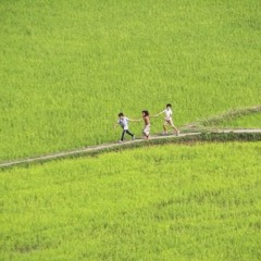 nhac viet