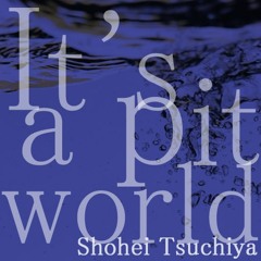 [グルーヴコースター 音源] It's a pit world - Shohei Tsuchiya featuring. SATOMI