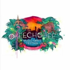 Bassnectar Okeechobee Night 2