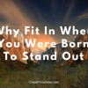 1156 Why Fit In When You Were Born To Stand Out