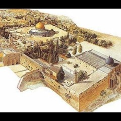 ما اخترنا حبك يا أوطان