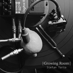 Growing Room (sampling synthesis)