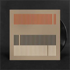 TOPP006 - B SIDE - FULL TRACKS WITH COPY CONTROL NOISE