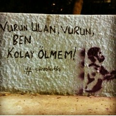cem karaca 33 kursun