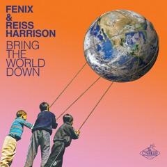 Bring The World Down (Fenix Remix)