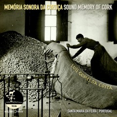 Luís Costa: Sound Memory of Cork
