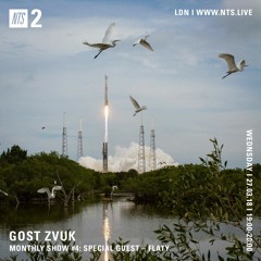 GOST ZVUK x NTS monthly show #4 w/ Flaty