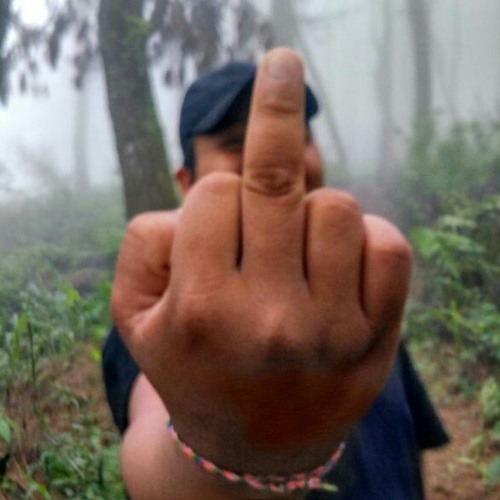 Nobe cinta segitiga