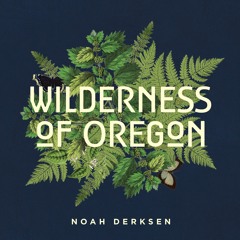 Wilderness Of Oregon