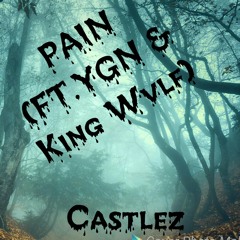PAIN (FT . YGN & King Wvlf)