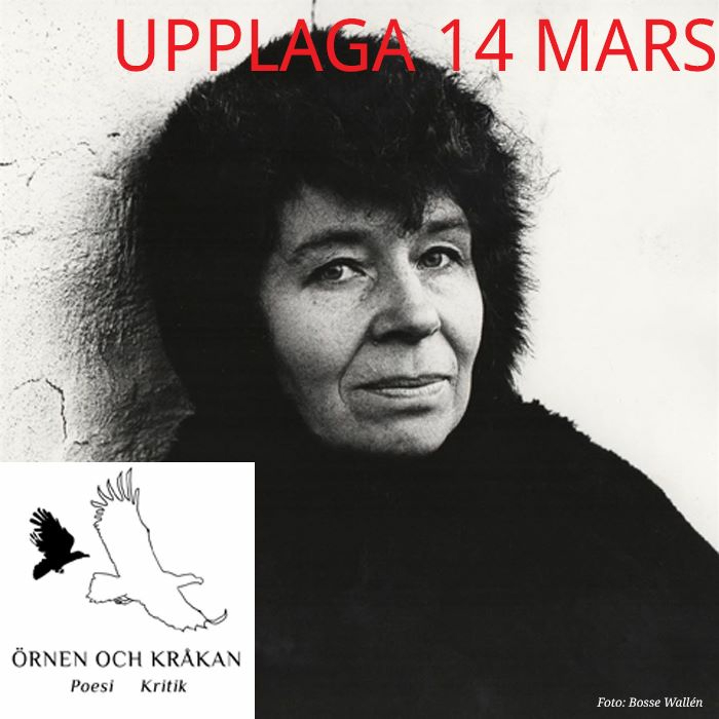 Tre böcker av och om Elsa Grave recenseras av Magnus William-Olsson episode artwork