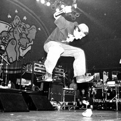 Beastie Boys - So What'cha Want (Live With Cypress Hill)