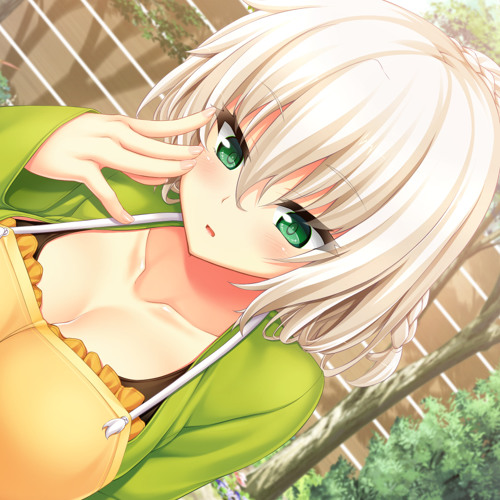 ノラと皇女と野良猫ハート もう、ダメですよ…? ネコさん ＋ 5枚組CDBOX Amazon.co.jp: ノラと皇女と野良猫ハート - PSVita : ゲーム