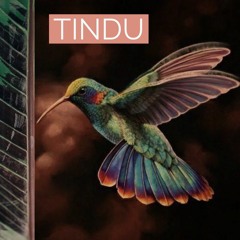 Tindu - Songbook: Ibiza Mediciana 40