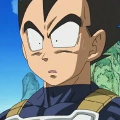 Like Vegeta