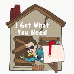 I Got What You Need