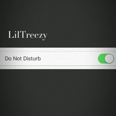 LilTreezy - Do Not Disturb