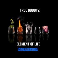True Buddyz - Element Of Life (Sneakz Reverse Bass Edit) ***FREE DOWNLOAD***