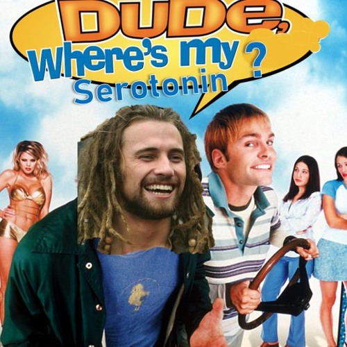 Dude, Where's My Serotonin?
