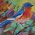 Artwork for The Bluebird's Dream