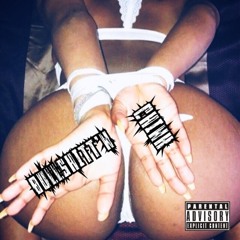 BuLLSHiTT'N