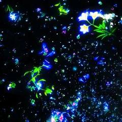 Like a Flower from Underground