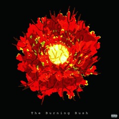 The Burning Bush...