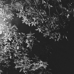 r o u g h  sleeper ラフスリーパー