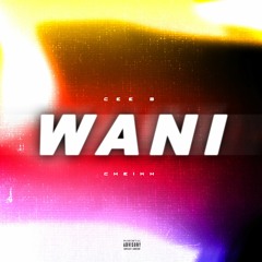 wani (ft. cheikh)
