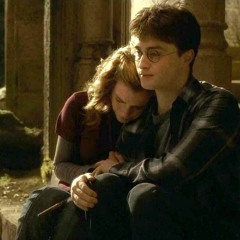 Harry And Hermione | Ambient