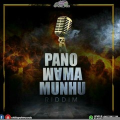 Panomama munhu riddim mixtape by DJ JACCUZI [March 2018]