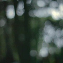 you got that body (ft. shiloh)