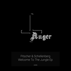 [AM006] Pitscher & Schellenberg - Welcome To The Jungle (Original Mix)
