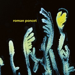 Roman Poncet - Gypsophila - C2 - Épreuve (FIGURELP02)