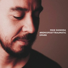Mike Shinoda - Place To Start(DPARK Remix)#RemixPostTraumatic