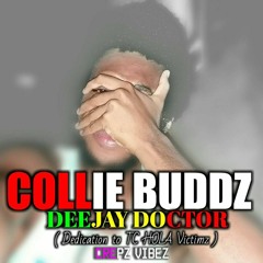 Collie Buddz - S.O.S [DJ Doctor dedication to TC Hola Victims]