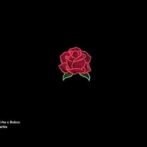 Kvba X Boksu - Skarbie