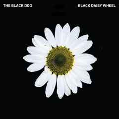[DustCD055] The Black Dog - Black Daisy Wheel