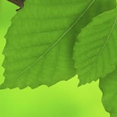 Cultivating self confidence