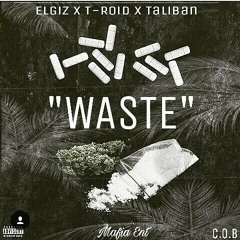 Elgiz ft T-roid x Taliban-waste