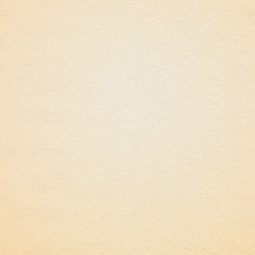 DS_8