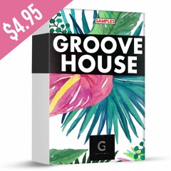 Groove House by Carter Grey / ONLY $4.95