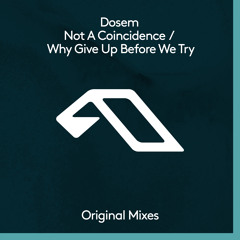 Dosem - Why Give Up Before We Try