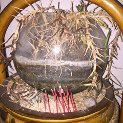 josim + zamzakodo = ugly mongolian