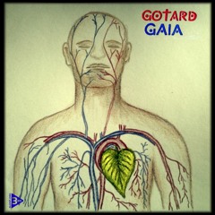 GOTARD - Qaramel