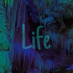 FLOR - LIFE ( Prod. by Богдан Арт )
