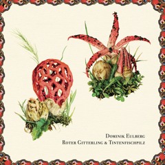 Roter Gitterling (Snippet)