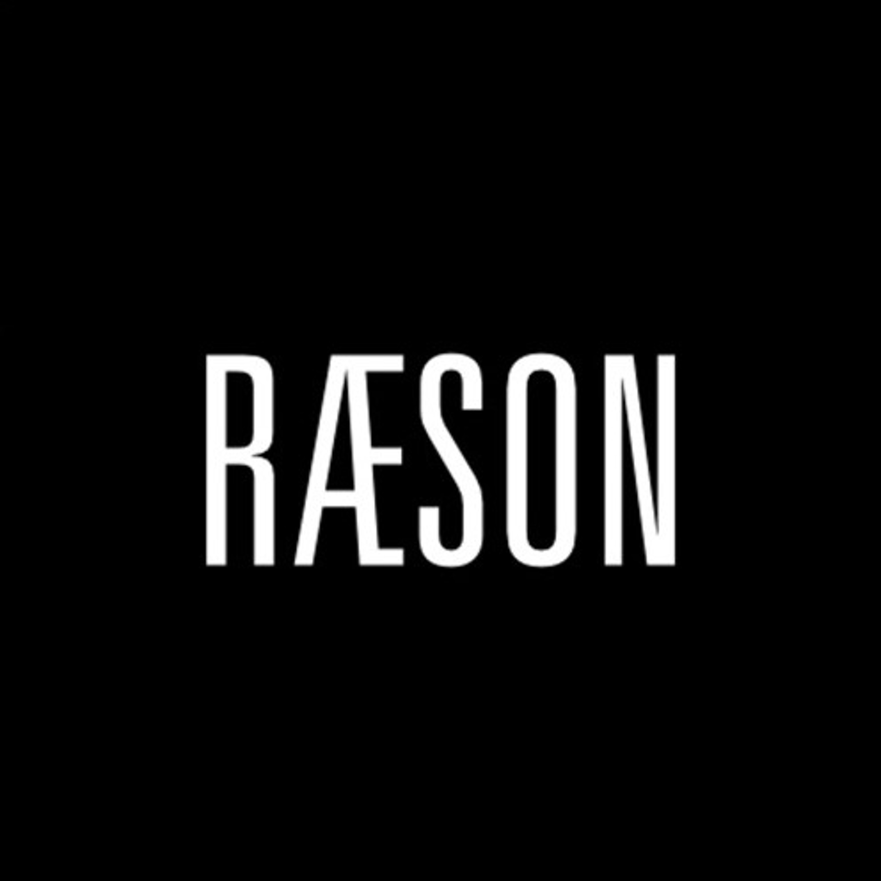 RÆSON - dansk og international politik