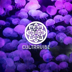 CULTRAVIBE #049 || "TAYYLOR MADE [InGoodCompany] Guest Mix"