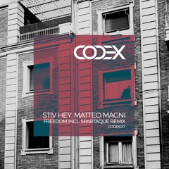 Stiv Hey, Matteo Magni - Freedom (Original Mix) [Cut]